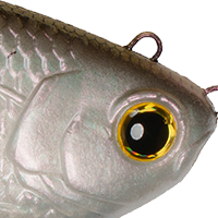 4K Shad