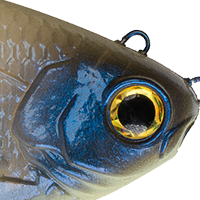 Ghost Bone Shad