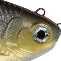Shad Clone