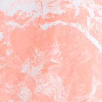 Coral Reef