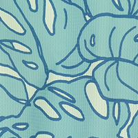 Aquifer Tropical Outline