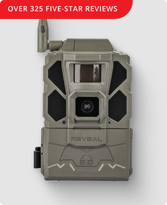 
Over 325 Five-Star Reviews!
