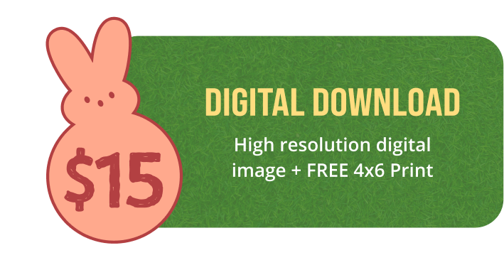 $15
  Digital Download
  High resolution digital image + FREE 4x6 Print