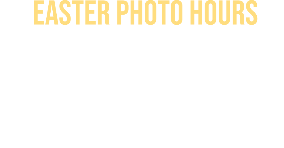 Easter Photo Hours
  Monday - Thursday
  Sundays
  march 30 - April 2
  march 22 & 29
  5 P.M. - 8 P.M.
  11 A.M. - 4 P.M.
  Saturdays & Good Friday
  Easter Sunday
  march 21, 28 & April 3, 4
  April 5
  11 A.M. - 6 P.M.
  11 A.M. - 3 P.M.