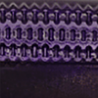 Purple Rayne