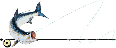 World Wide Sportsman