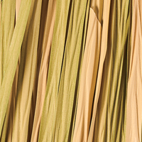 Green Blend