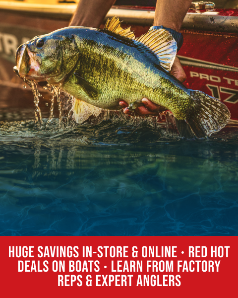 best fishing lures olympic peninsula Rainforest Steelhead