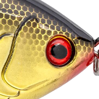 Gold Natural Shad
