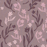 Purple Dove