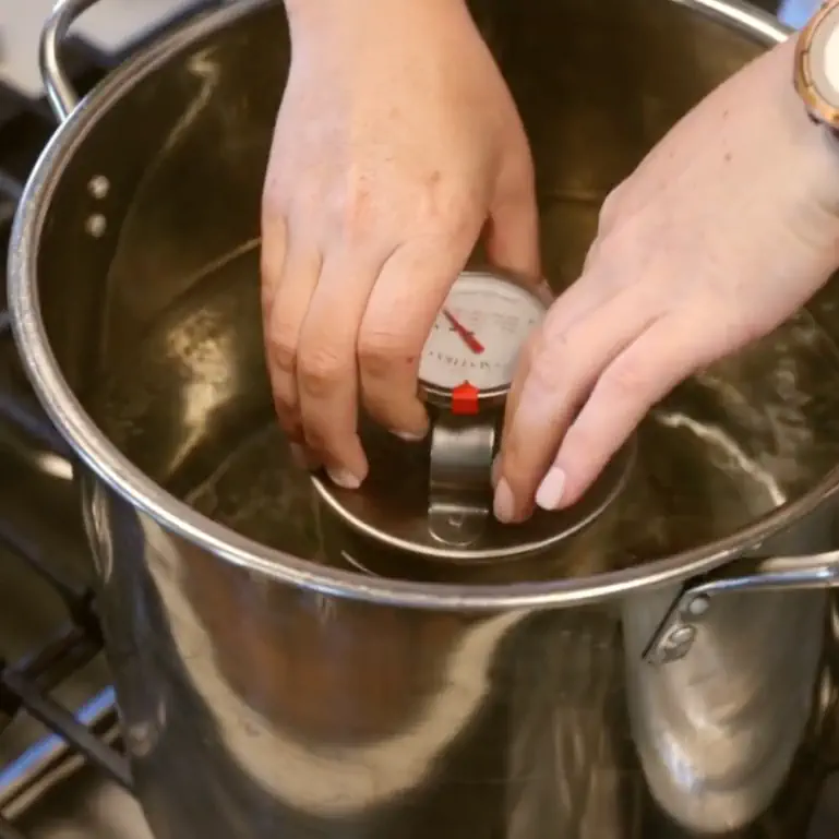 inserting deli press in water