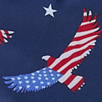 USA Eagle