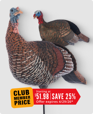 Cabela's Pro HD Turkey Decoys - 