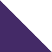 Purple/White