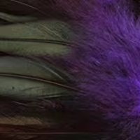 Natural Purple