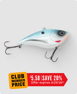 XPS Rattle Shad - 