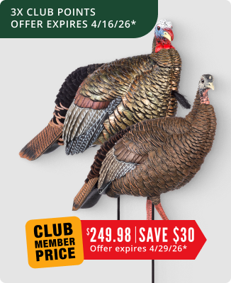 Avian-X HDR Jake and Hen Turkey Decoy Combo - 