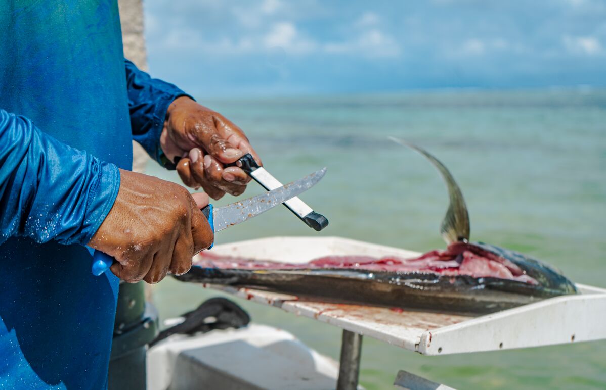 Fillet knife showing signs it needs sharpening