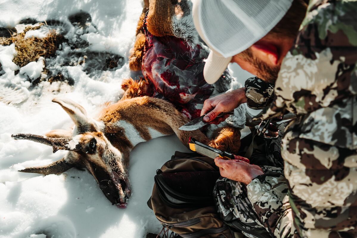 Hunter using a knife in the field