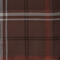 Jackson Plaid