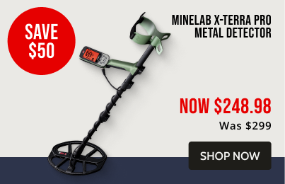 minelab x-terra pro metal detector
