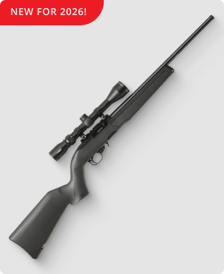 Ruger 10/22 Semi-Auto Rimfire Rifle Combo with Threaded Barrel - 