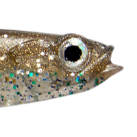 Tennessee Shad