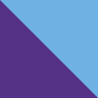 Pace Purple/Blue