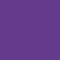 Pace Purple