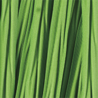 Winter Wheat